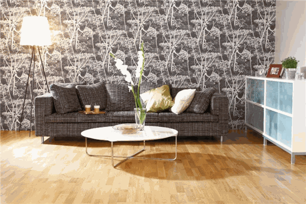 LAK欧洲进口木地板